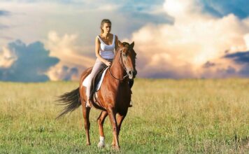 Czym grozi jazda na niedogrzanym silniku?